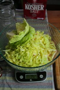 Cabbage and Apple in Mixing Bowl on Scale